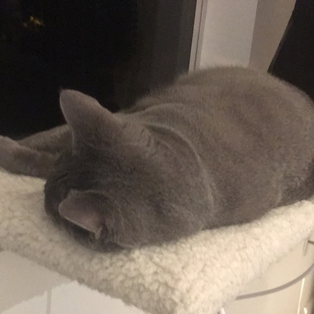 Meet your Posher, Ron